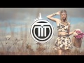 Example - 10 Million People (Static Revenger Mix ...
