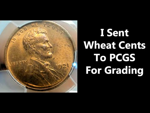I Sent Some Wheat Cent Pennies To PCGS For Grading