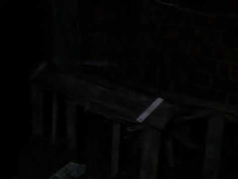 Tempestade com ventos fortes aqui em Tarauacá-Acre