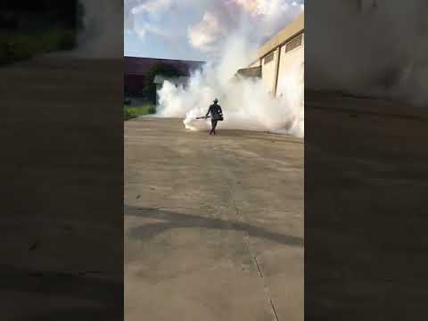 Pest Control Service Sydney | General Pest Control in Sydney