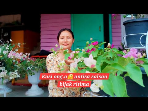 Kusi ong.a antisa salsao bijak ritima || Gardening || Bougainvillea