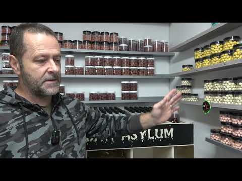 Asylum - My Return Oct 24