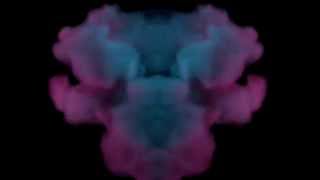 The Dealer - For A Night feat. Shells (Official Video)