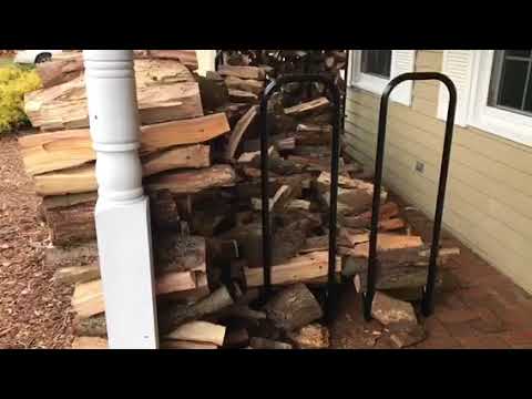 Carpenter Ants Hide in Firewood in Manasquan, NJ