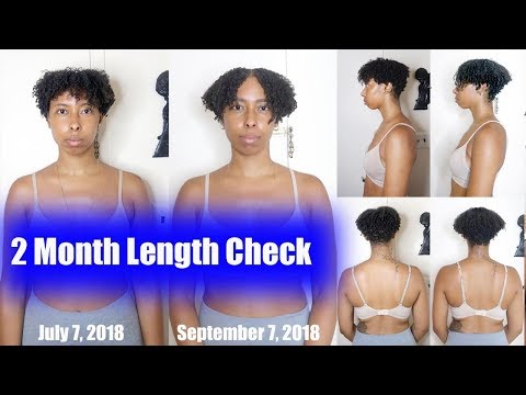 2 Month Curly Length Check Video