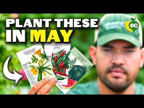 13 Crops You Can Start In May RIGHT NOW!