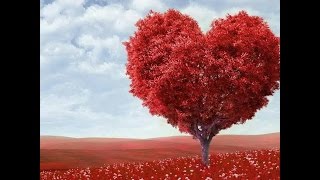 los temerarios - como quisiera poder