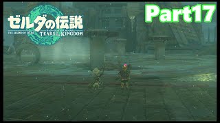 【17】ぼっち勇者の天空探検【ゼルダの伝説ティアーズオブザキングダム】