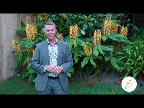 21A Seascape Road, Remuera - John Lantz