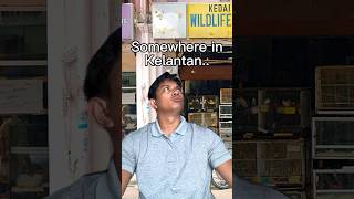Download lagu Kelantan is the same as the rest of Malaysia, kan? mp3