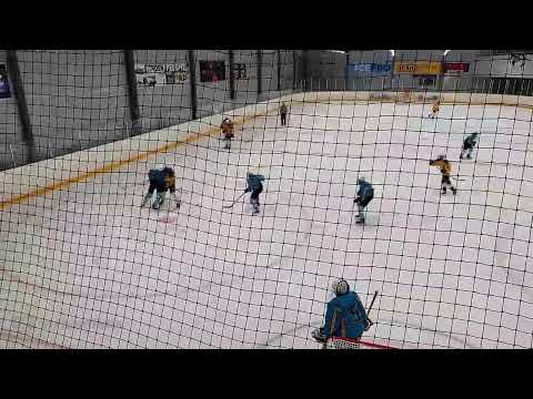 Pelicans Team - HyRi, harjoituspeli