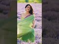 Tollywood Hot Actress Regina Cassandra Hot Sadi Video