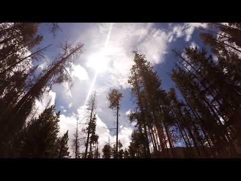 Noah Preminger Quartet - The Genuine One Time Lapse