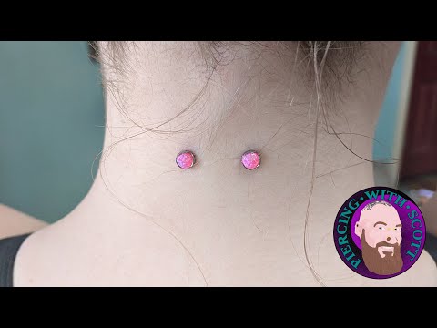 The Whole Truth - Nape Piercing