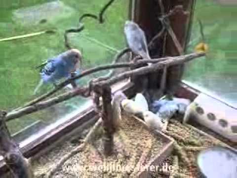 2010 11 03 Die Tageskuschelecke im Büro