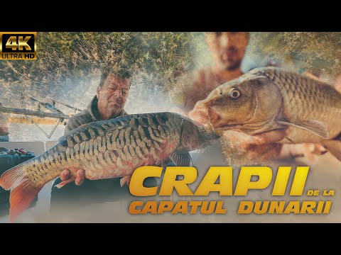 Crapii de la capatul Dunarii