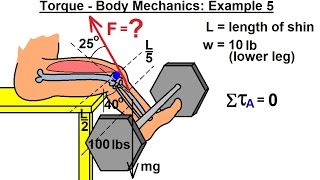 Physics - Mechanics: Ch 15 Torque (17 of 25) Body Mechanics: Ex. 5, F=? Leg Lifting Weights