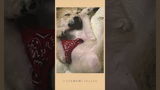 - カバー第3弾「#心拍数♯0822」公開中!#カンザキイオリ #蝶々P #cover