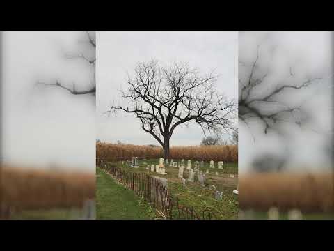 Quando Rondo - Have You Ever (Official Audio)