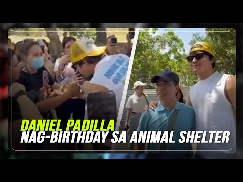 Daniel Padilla nag-birthday kasama ang mga abandonadong aso at pusa