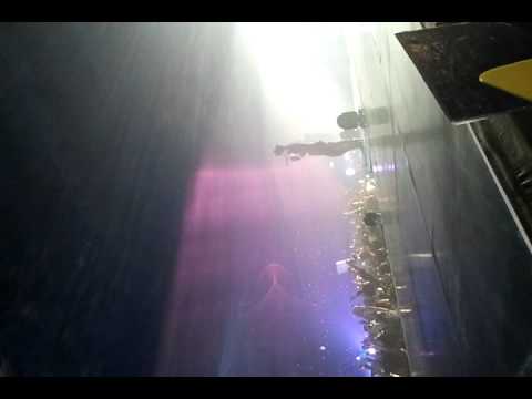 130928 INFINITE - I'm Going To You #OGSBKK