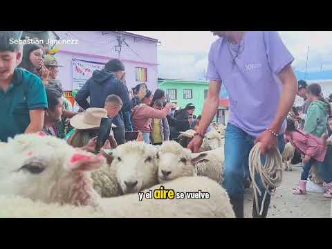 Marulanda Caldas 😍🐑🇨🇴 