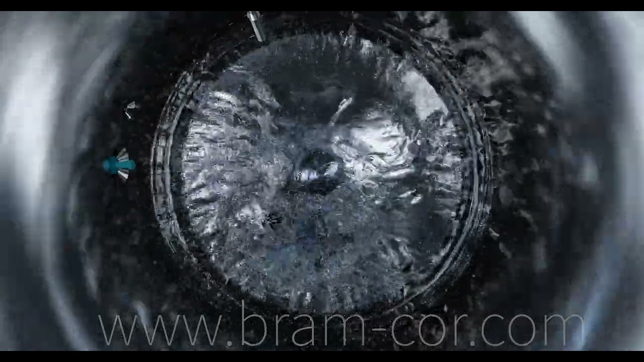 Bram-Cor DISS Formulation systems - Pharmaceutical Processing