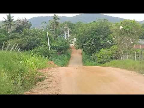  itapitanga-Bahia cercada do verde Natural 