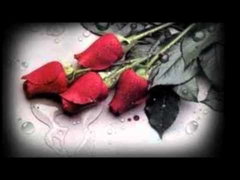 porque te fuiste la suprema corte