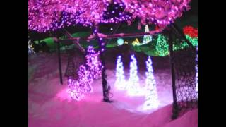 Contron - But right now we're alive & well