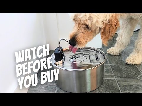 Pet Drinking Fountain Review | Game-Changer for Dog & Cat Hydration?