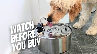 Pet Drinking Fountain Review | Game-Changer for Dog & Cat Hy