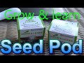 Grow and learn Seed pod what can we grow
