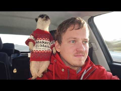 When Animals and Humans Are Meant to Be Together 😍