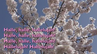 Halle Halle Hallelujah with lyrics for congregatio