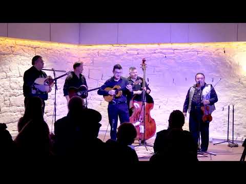 Gypsy Stringz Performance