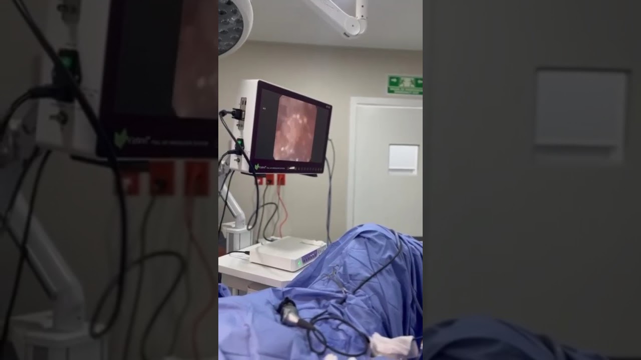 David Ramírez Ramírez-17