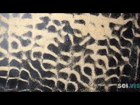 Sand vibration pattern on chladni plate