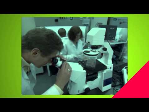 1° Simposio BCD - Video intro