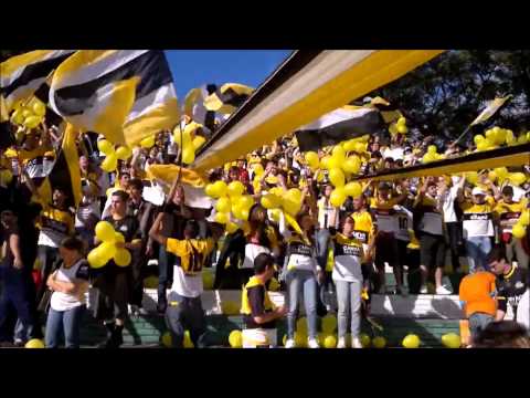 Os Tigres | Final do Campeonato Catarinense 2011 - Chapecoense 1 x 0 Criciúma