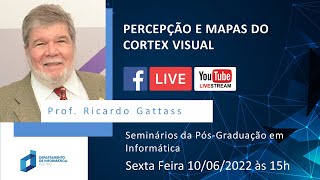Como Se Deu A Construção Inicial Do Sistema Córtex