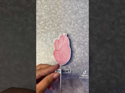 My heart is your (trishna)🤎