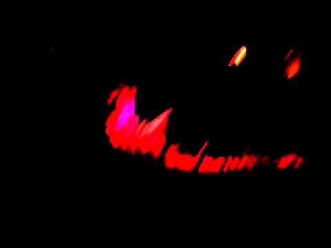 goa gil portugal 2011