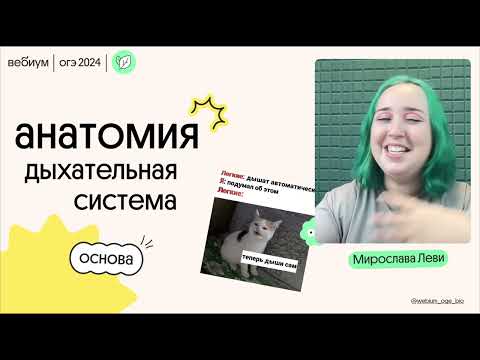 Дыхательная система | ОГЭ