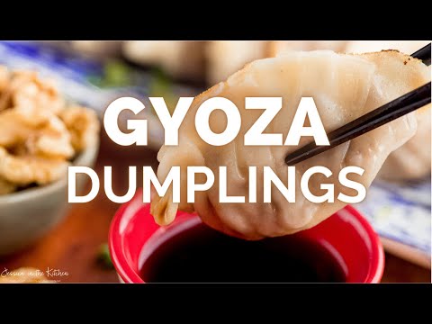 VEGAN GYOZA DUMPLINGS (TASTY VEGAN MEALS)