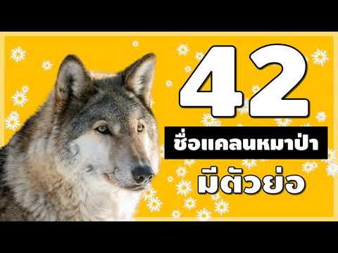 ชื่อฟีฟาย