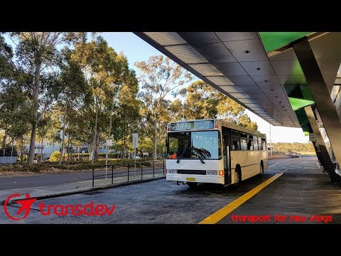 Transdev m/o 7223: Mercedes Benz O400/Custom Coaches 215
