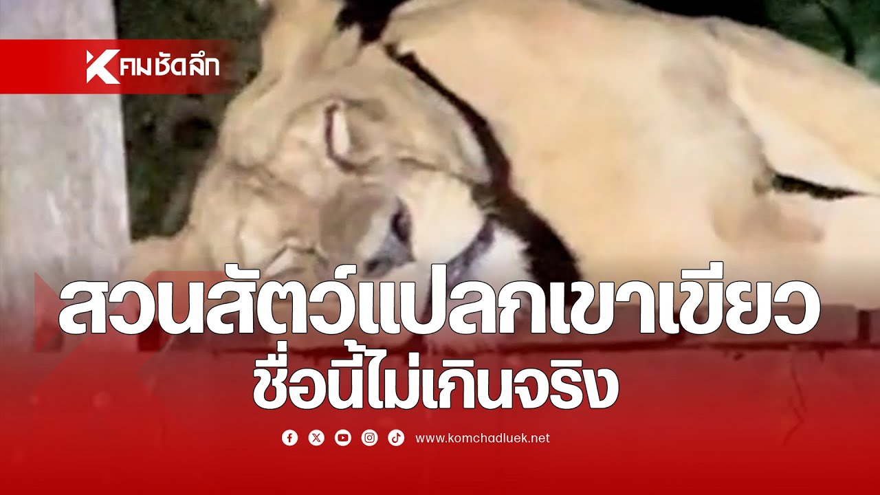 สวนสัตว์แปลกเขาเขียว ชื่อนี้ไม่เกินจริง
