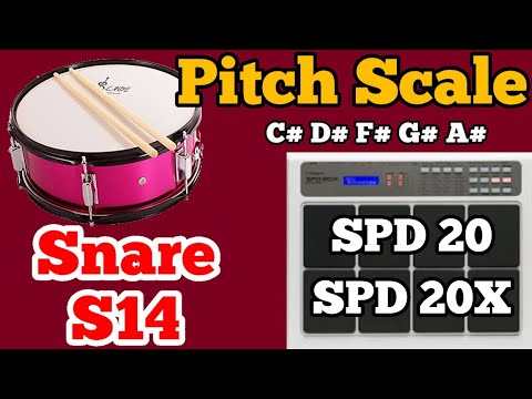DRUM Snare Pitch Scale Setting part-8  "S14" c# d# f# g# a# (best for beginners)