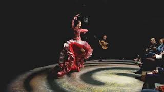 Flamenco with bata de cola